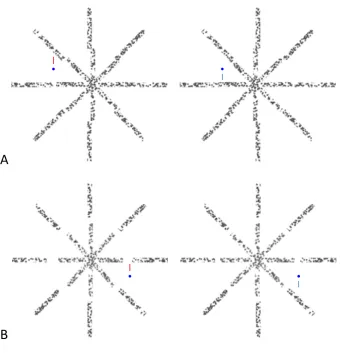 Figure 5. A. Example of the non-slanted stimulus configuration that subjects were asked to free-fuse to test the sharpness of the depth boundaries