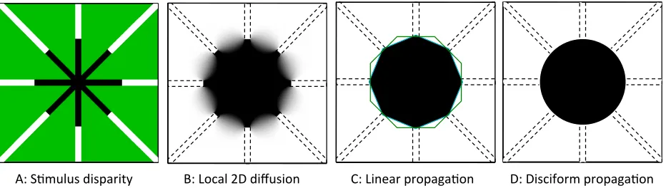 Figure 3. Depiction of three forms of depth surface interpolation. A: stimulus disparity arrangement (black to white: far to near 