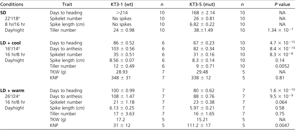 Table 1 Phenotypic analysis of einkorn wheat lines