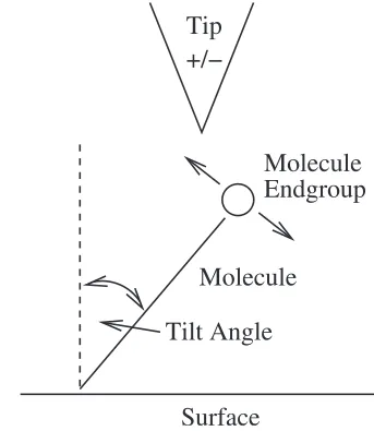 FIG. 19. �andas a function of bias obtained both with and without considering theeffects of the electrostatic-induced rotation of the molecule