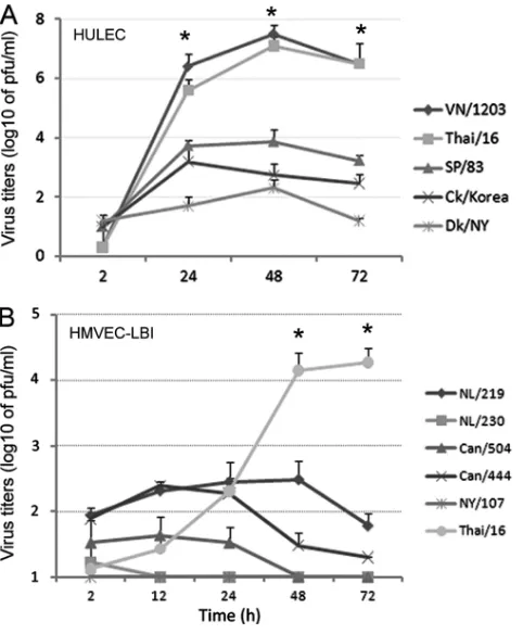 FIG 4 HPAI H5N1 viruses preferentially enter from the apical side of polar-ized human pulmonary microvascular endothelial cells