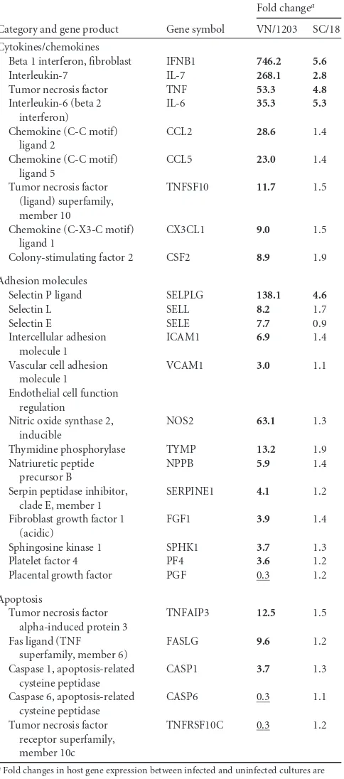 TABLE 2 Genes induced in HULEC infected with inﬂuenza viruses