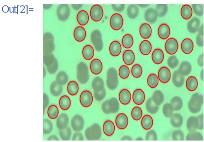 Figure 2 – Calculation of Cell Features 