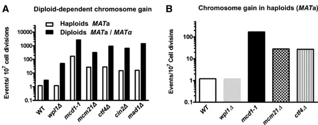 Figure 4 Diploid-dependent chromosome gain.Rates for WT and SCC-defectiveRate determinations were done as described inMaterials and Methodsand for diploids: WT and14;mcm21Diploid-dependent chromosome gain is revealedin strains defective in various aspects 