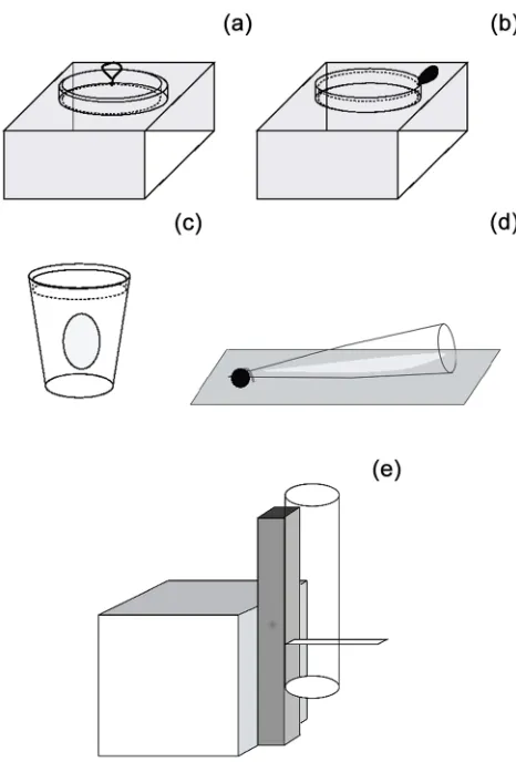 Figure 1. Schematic of innovation tasks. Each bird was tested on apseudorandom selection of two tasks amongst those depicted in a–d.All birds were also tested on the task depicted in e
