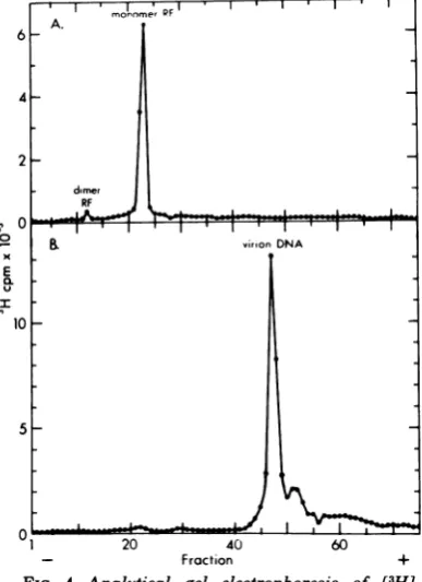 FIG. 3.poolsprepared8.5)-100.1croscopy.righttatedsucrosethroughweretionsrotorradioactivity.rows)rium(16)