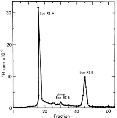 FIG. 2.andtion Preparative sucrose gradient centrifuga- of restriction endonuclease EcoRI fragments A B of tsl H-1 RF DNA
