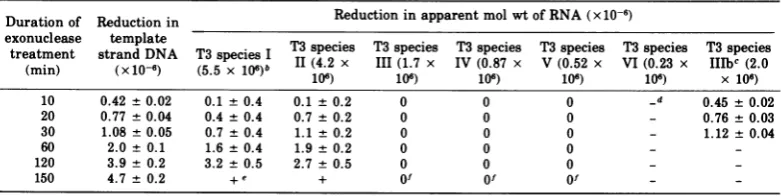 TABLE 2. Reduction in apparent molecular weight ofRNAs transcribed from extensively truncatedT3 DNA template a