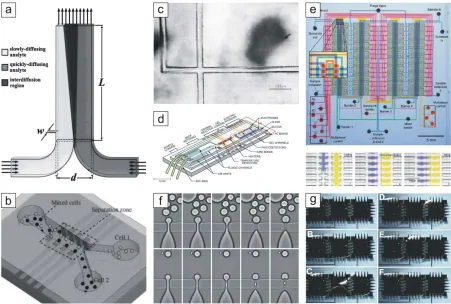 Figure 1.3. Composite of schematics and images of microfluidic devices, including (a) a T-electrophoresis chip that also performs sample preparation steps,microfluidic device consisting of an array of parallel channels in which individual reactions can be isolated by pneumatically actuated elastomer valves,sensor for measuring diffusion between coflowing laminar streams,84 (b) a microfluidic system for separations based on dielectrophoresis,44 (c) an early glass microfluidic channel used to perform separations by electrophoresis,35 (d) a more advanced microfluidic 34 (e) a high throughput 141 (f) a flow-focusing aperture in a droplet-generating microfluidic device,147 and (g) splitting and merging of a droplet in an electrowetting-actuated microfluidic device.155 