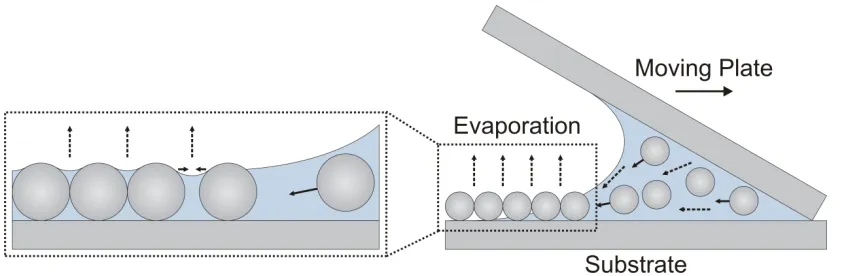 Figure 1.5. Schematic of convective assembly coating deposition process. A suspension of colloidal particles is pinned between two plates and dragged across the substrate