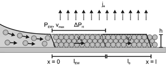 Figure 2.3. Schematic of the parameters for the model of voltage-driven extension of the particle suspension drying film