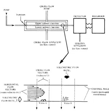 FIG.1.shows Schematic edge view of flow FFF channel the crossed flow vectors.