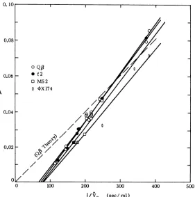FIG. ofThe dashed line is aprediction 3. Data and least-squares plots X versus 1IiV, for four viruses