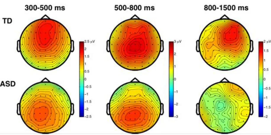 Figure 2: 2D scalp distributions of Old/New mean ERP amplitude differences (Old minus New 