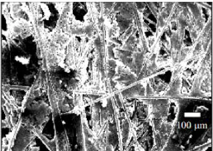 Figure 4:   Technical Products [8].  An SEM image of the porous cathode used in the experiments conducted by Yardney  