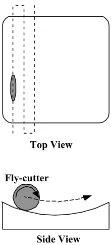 Figure 1-1.  Raster scan diamond fly-cutting. 
