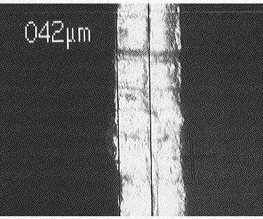 Figure 2-6.  Top view of honeycomb core at 200X on the Zeiss ICM 405 microscope.  