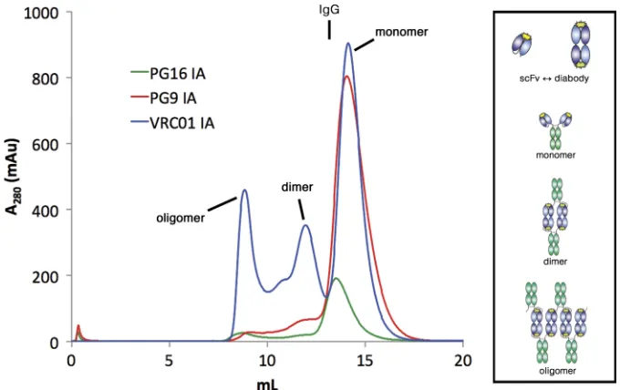 TABLE 2 Effect of preincubation of VRC01 reagents on neutralizationpotencya