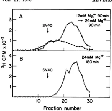 FIG.10.transcriptaseDNAtides,batedopencentrifugedthen(A,throughrpm,tions Effect of Mg2+ concentration on reverse product stability