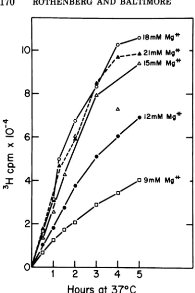 Fig. 4 thus reflected three effects: the enhance-ment of the rate of DNA synthesis by highsubstrate levels, the slowing of DNA synthesis