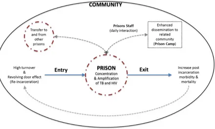 Figure 1. Theoretical model: Prisons – Community interaction. Connections with the outside community through released inmates andinteraction with prisons staff result in disease dissemination to the outside community