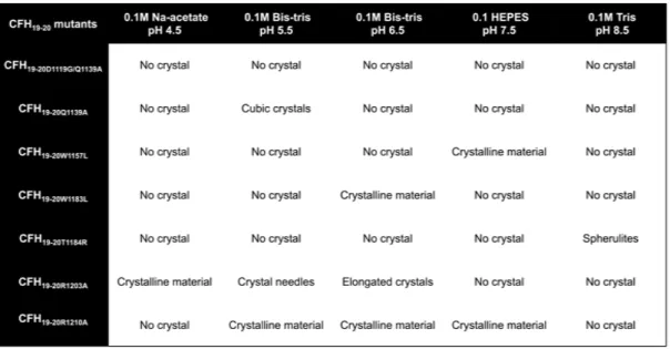 Table  2.  Crystal  screen  set  up  with  seven  CFH19-20  mutants  in  order  to  see  their  crystallising  behaviour  in  different  pH