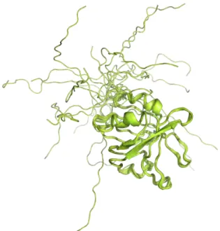 Figure  9.  The  NMR  ensemble  of  20  different  energy-minimised  NMR structures of OspE