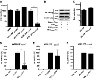 FIG. 5. PB1 and PA of SC35M render the WSN polymerase resistant to inhibition by PB21-37components harboring WSN PB2