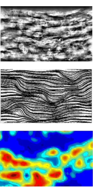 Fig. 8: Representation of the particle and fluid motion statistics:   Top: Average of image sequence showing preferred paths of particles and 