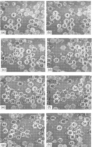 Figure 5: Image sequence showing the particle motion in the suspension under shear load of the slurry (flow is from left to right)