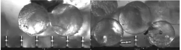 Figure 6: Interaction of particles with the micro-pillar surfaces.  