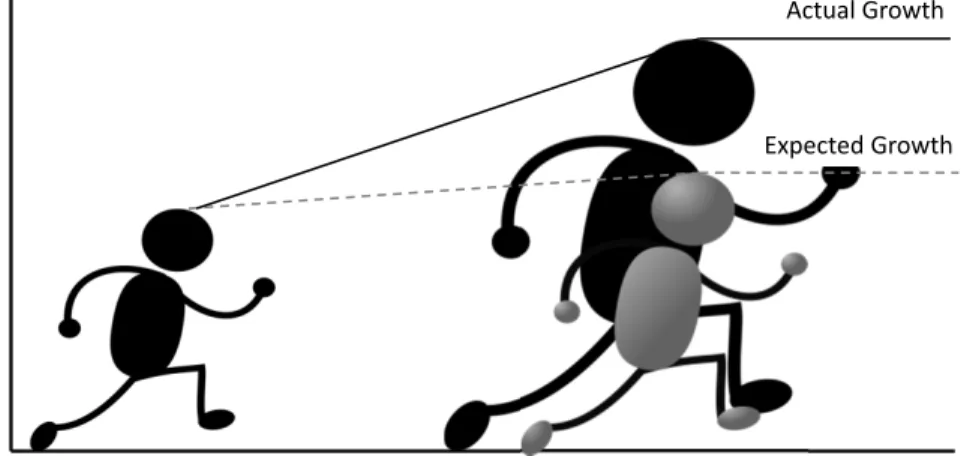 Figure 2.2: Student Growth Above What is Expected