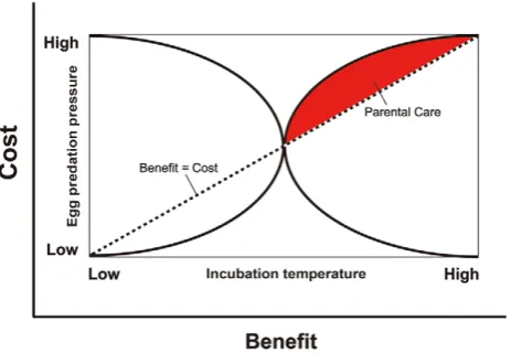 Fig. 1 for one putative relationship between selecting nest sites with