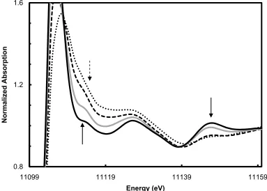 Figure 2-17: Normalized Ge near edge comparison of FCC_0.0% (solid black line), FCC_2.5% (gray dashed line), FCC_5.0% (black  dashed line), FCC_6.1% (black dotted line)