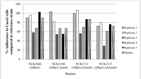 Figure 2.2. Adherence of progressive deletion mutants to Caco-2 epithelial cells in comparison to the reference strain, NCK1909 (100% adherence)
