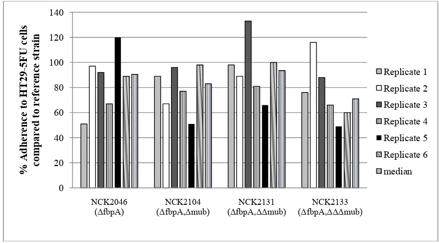 Figure 2.3. Adherence of progressive deletion mutants to HT29-5FU cells in comparison to the reference strain, NCK1909 (100% adherence)