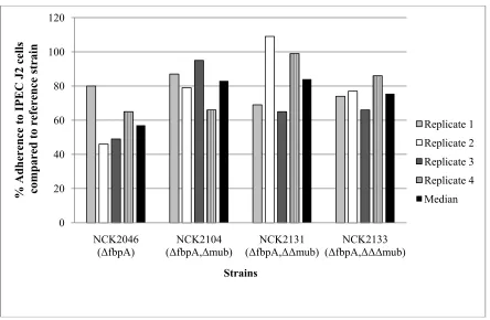 Figure 2.4. Adherence of progressive deletion mutants to IPEC-J2 porcine jejunal cells in comparison to the reference strain, NCK1909 (100% adherence)