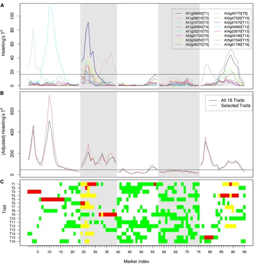 Figure 1 (AEach vertical section displays one chromosome. C shows if a trait is selected for multitrait analysis (green), if the single-trait mapping curve goes aboveselected traits (C)