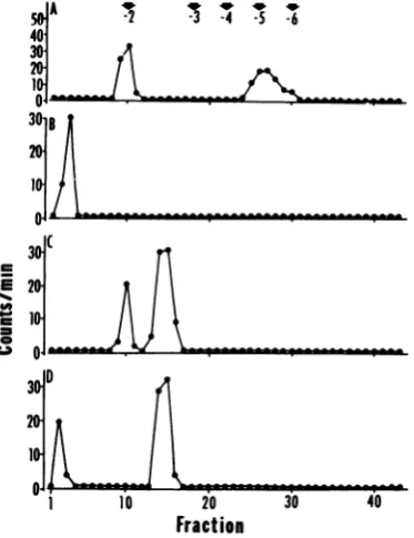 TABLE 1. Distribution of methyl-3H-labeled nucleotides in selected RNAs from HSV-1-infected cells