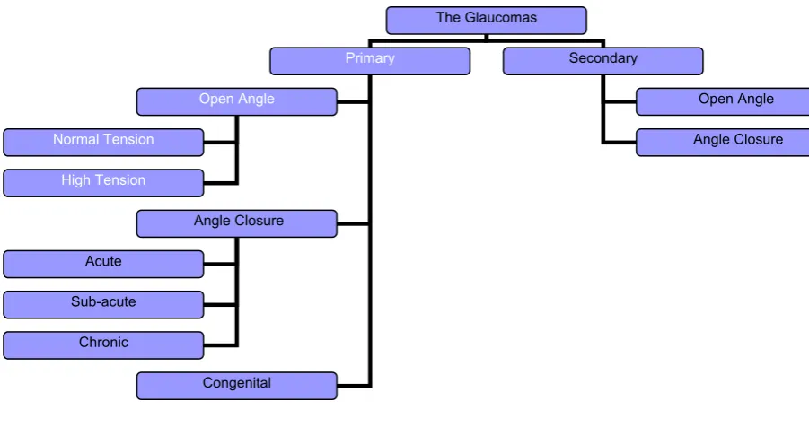 Figure 1.1: Simplified Classification of the Glaucomas. 