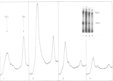 FIG.3.chromatography Pattern of tryptic peptides from [:15S]methionine p200 and [H]methionine p140 separated by on Beckman AA15 resin.