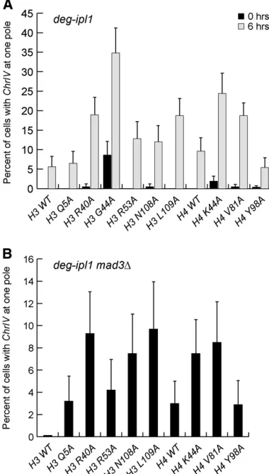 Figure 3 Analysis of sister-chromatid segregation in the histone mutantdoxycycline.monitored in anaphase cells that had DNA masses at opposite poles.(B)indicated (SBY9848strains