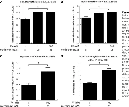 Figure 8 Effect of exogenousfolinic acid and methionine onhistone methylation in humanK562 cells