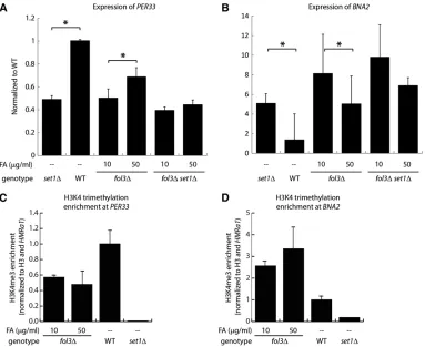 Figure 4 Effect of folate deﬁ-ciency on the expression of SET1-responsive genes.(A)PER33expression, as determined byRT–PCR