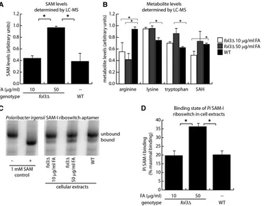 Figure 6 Measurements of SAMcellular extracts.a representative gel is shown. (D)QuantiA, by LC-MS