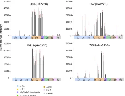 FIG. 1. Receptor speciﬁcity of 2009 pandemic H1N1 inﬂuenza viruses. Sialylated glycan binding by viruses possessing HA-222D or HA-222G;puriﬁed whole virions were analyzed by use of glycan microarrays