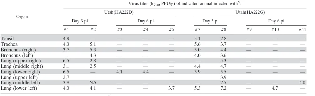 TABLE 2. Virus titers in organs of infected cynomolgus macaquesa