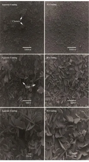 Figure 9. SEM micrographs of aqueous solution and 30% ethanol containing solution 