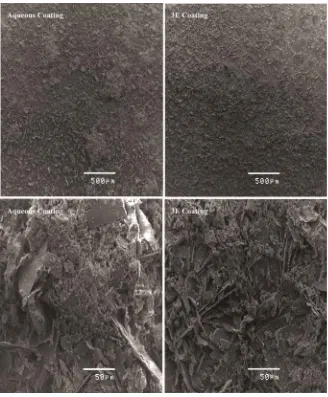 Figure 10. SEM micrographs of aqueous solution and 30% ethanol containing solution 