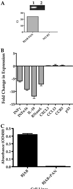 FIG. 4. PAN RNA expression in BJAB cells mediates changes inexpression levels of speciﬁc immune modulation factors